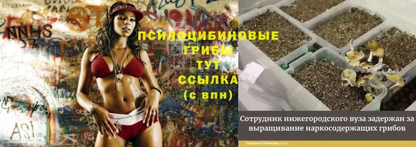 трава Балабаново