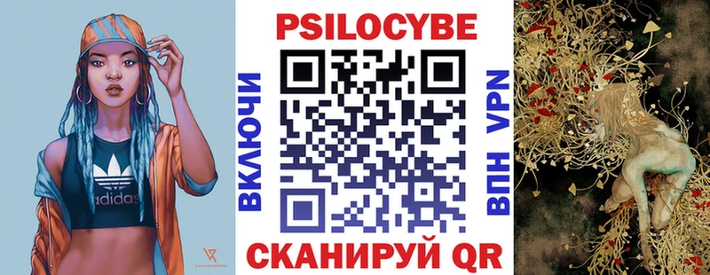 Псилоцибиновые грибы мухоморы  Пудож 